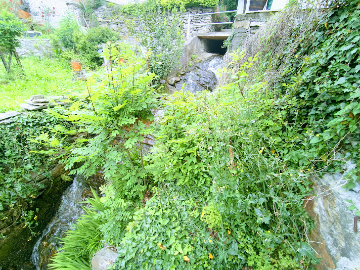Casa indipendente · Domodossola — foto 20/34