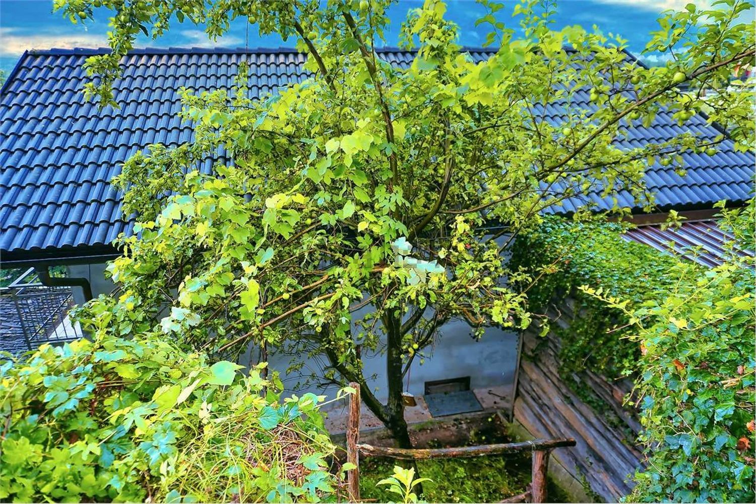 Casa indipendente · Beura Cardezza · Cuzzego — foto 6/43