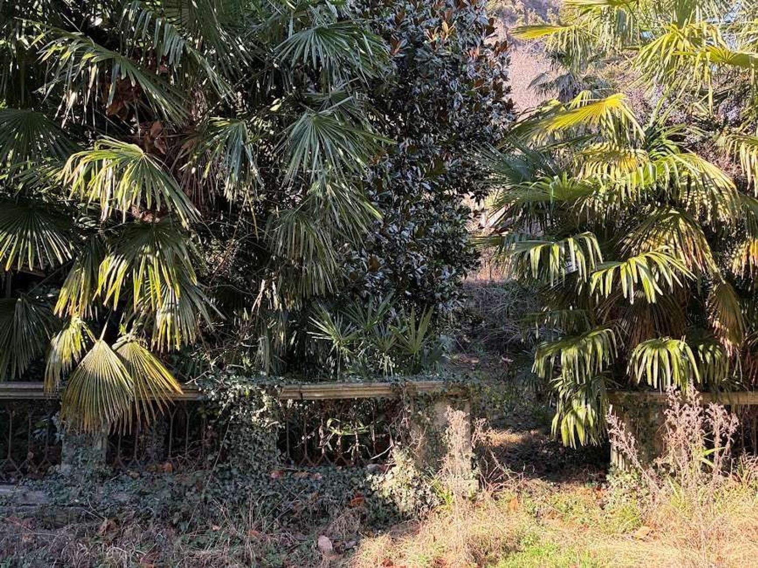 Villa bifamiliare · Piedimulera — foto 26/54
