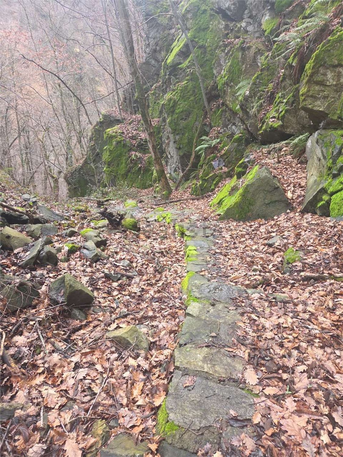 Rustico / Casale · Calasca Castiglione — foto 16/28