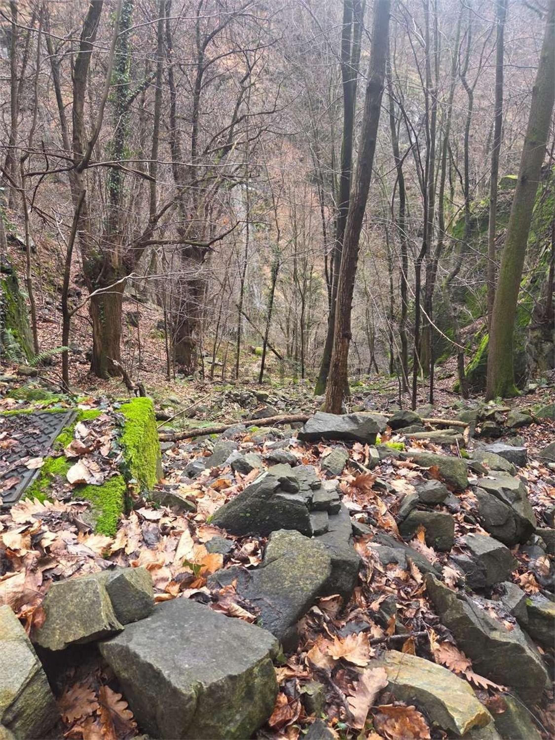Rustico / Casale · Calasca Castiglione — foto 17/28