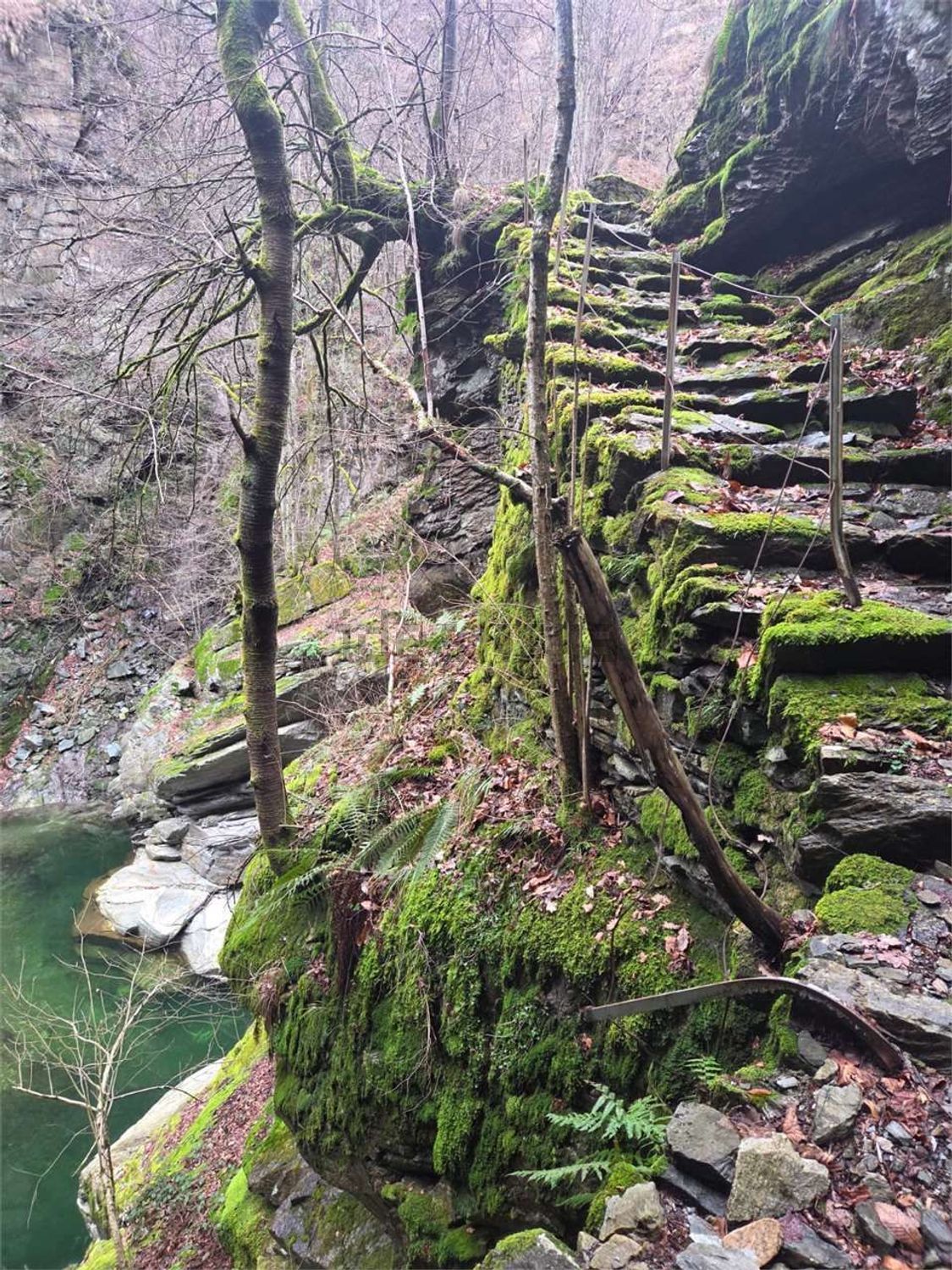Rustico / Casale · Calasca Castiglione — foto 19/28