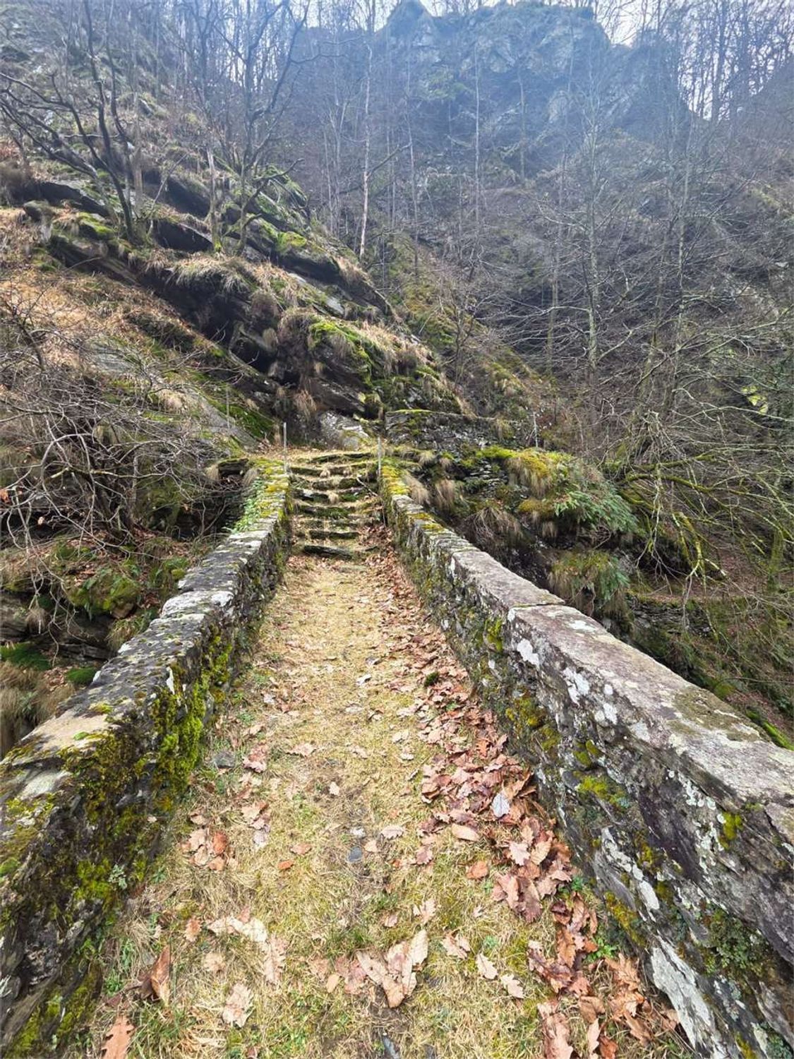 Rustico / Casale · Calasca Castiglione — foto 20/28