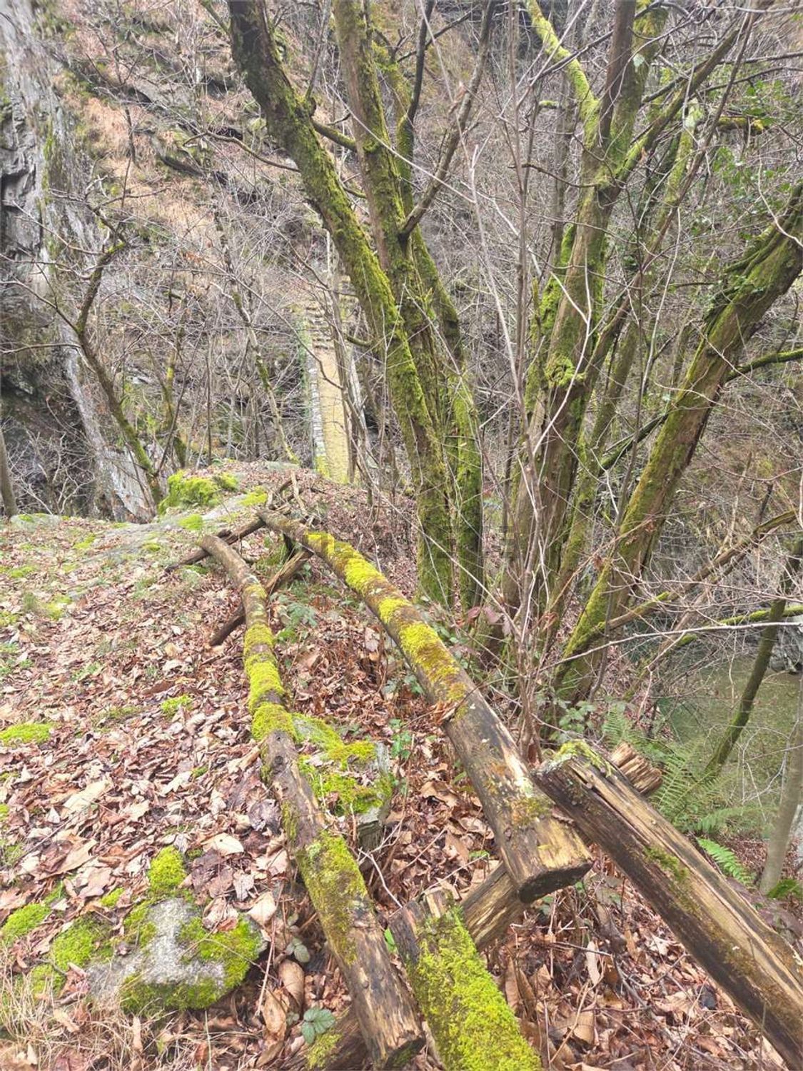 Rustico / Casale · Calasca Castiglione — foto 22/28