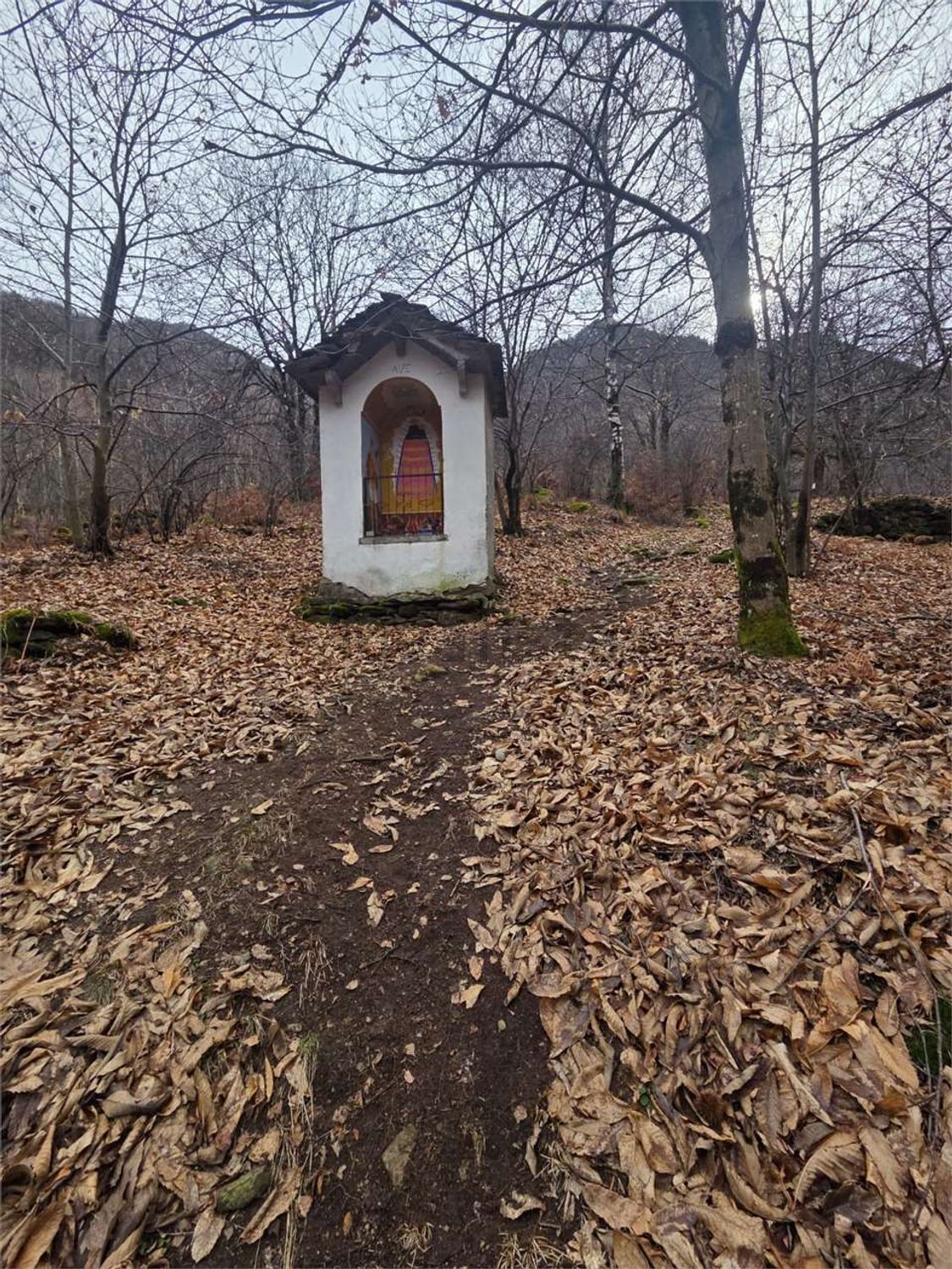 Rustico / Casale · Calasca Castiglione — foto 24/28