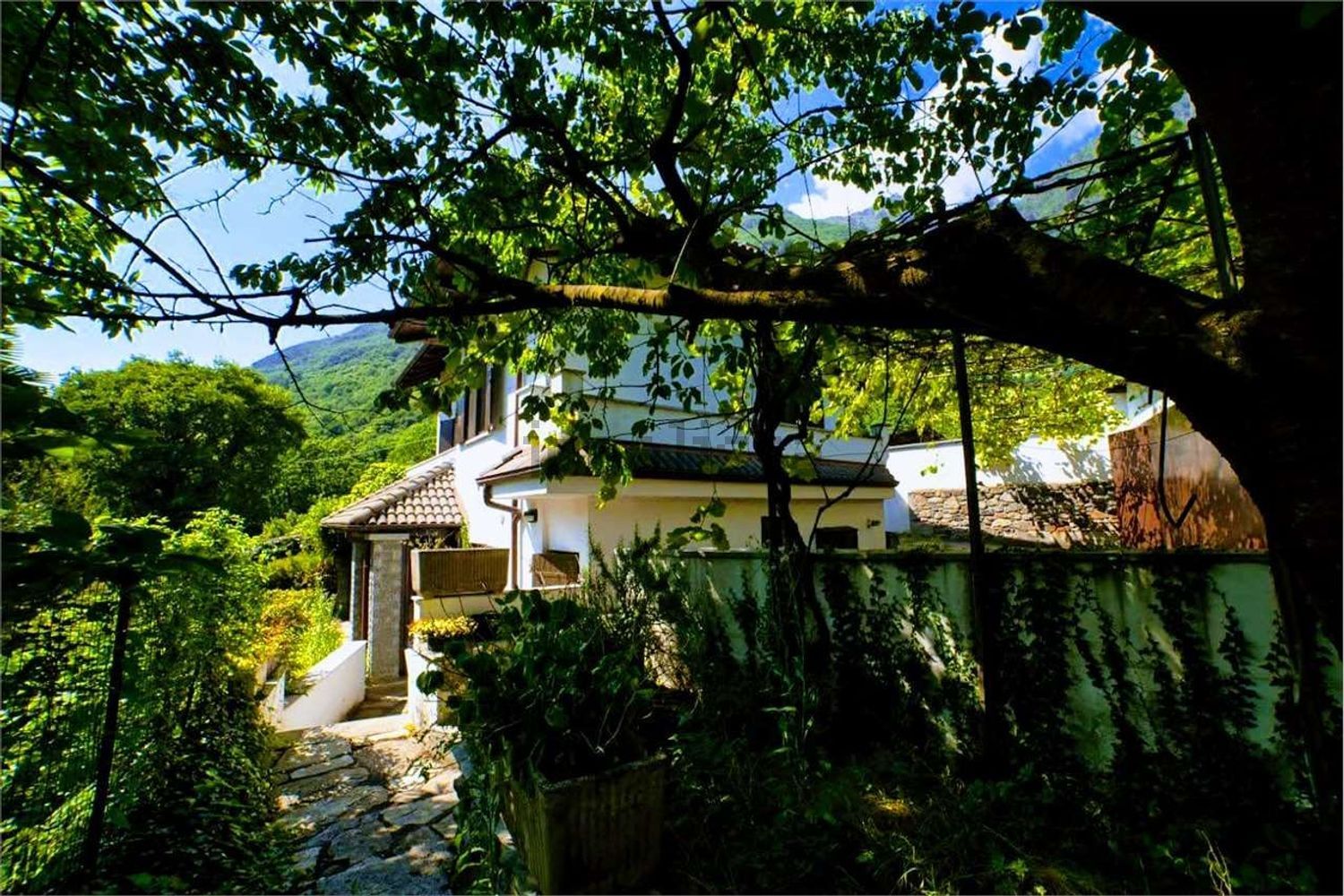 Villa · Premosello Chiovenda · Cuzzago — foto 48/51