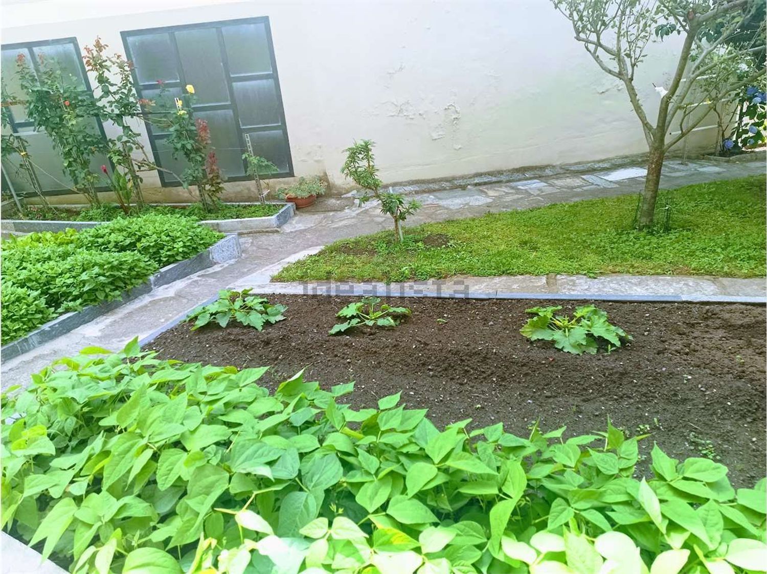 Appartamento · Villadossola — foto 25/38