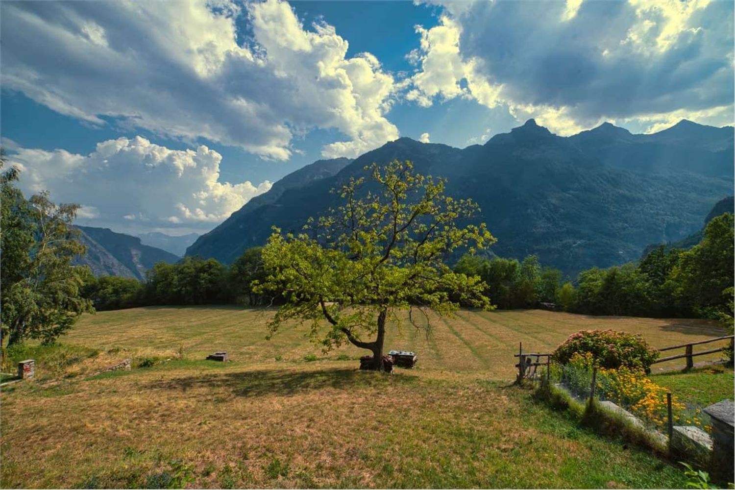 Porzione di casa · Varzo · Turiggia — foto 6/45