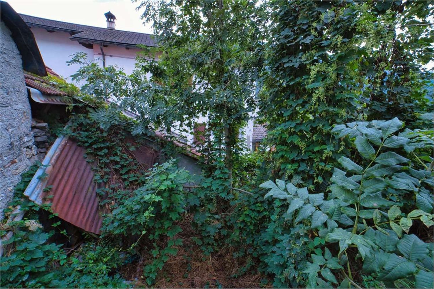 Rustico / Casale · Re — foto 23/25