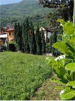 Casa indipendente · Premosello Chiovenda — foto 4/12