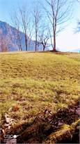 Baita · Pieve Vergonte — foto 11/12