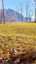 Baita · Pieve Vergonte — foto 10/12