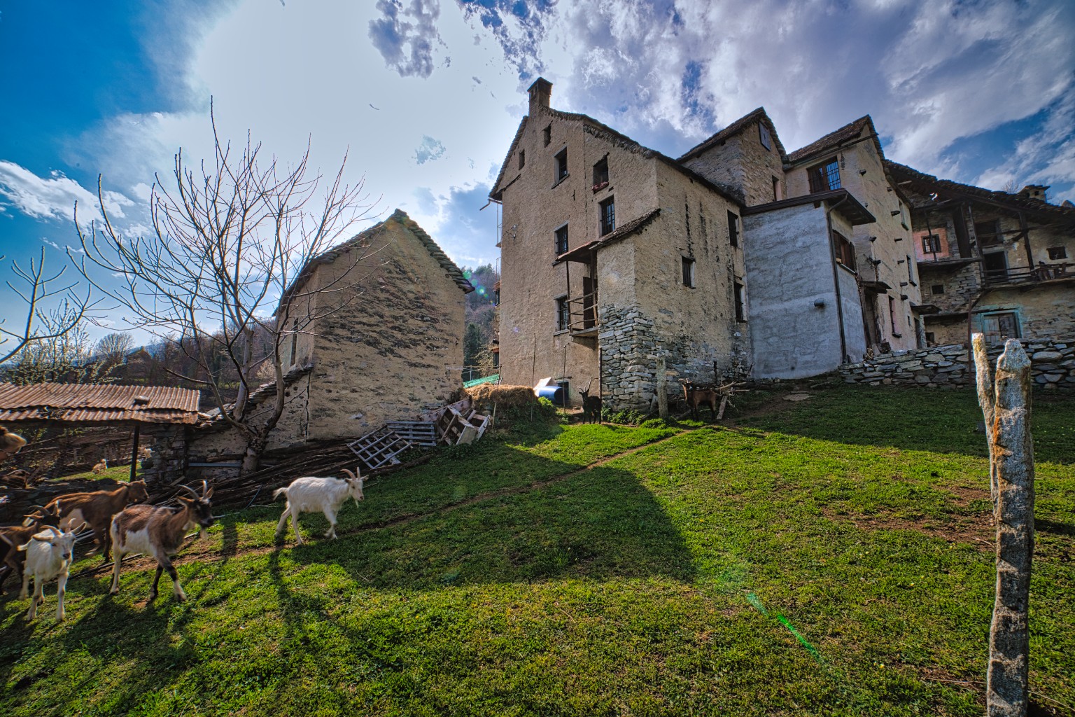 Rustico / Casale · Crevoladossola · Castagnolo — foto 12/19