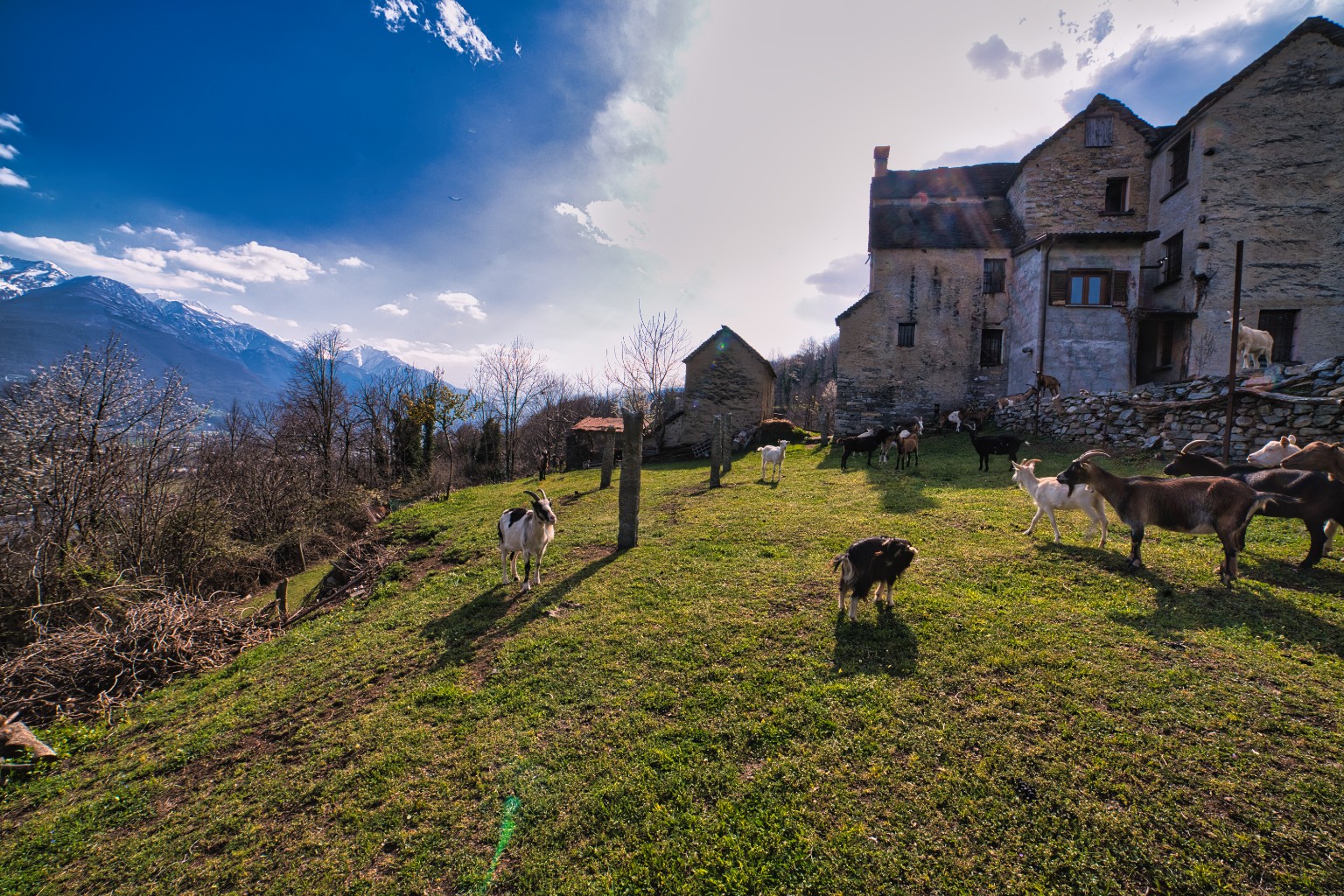 Rustico / Casale · Crevoladossola · Castagnolo — foto 15/19