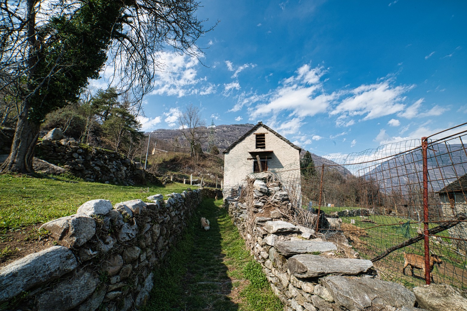 Rustico / Casale · Crevoladossola · Castagnolo — foto 4/19