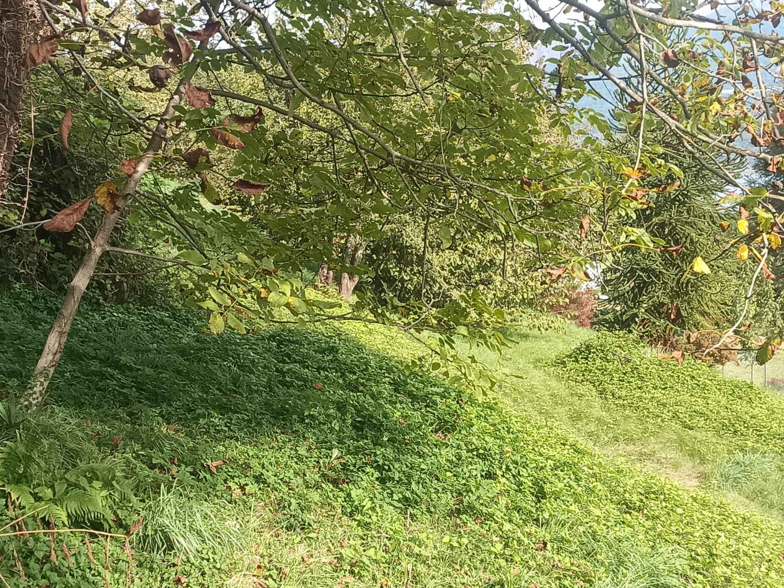 Terreno edificabile · Baveno · Loita — foto 16/16