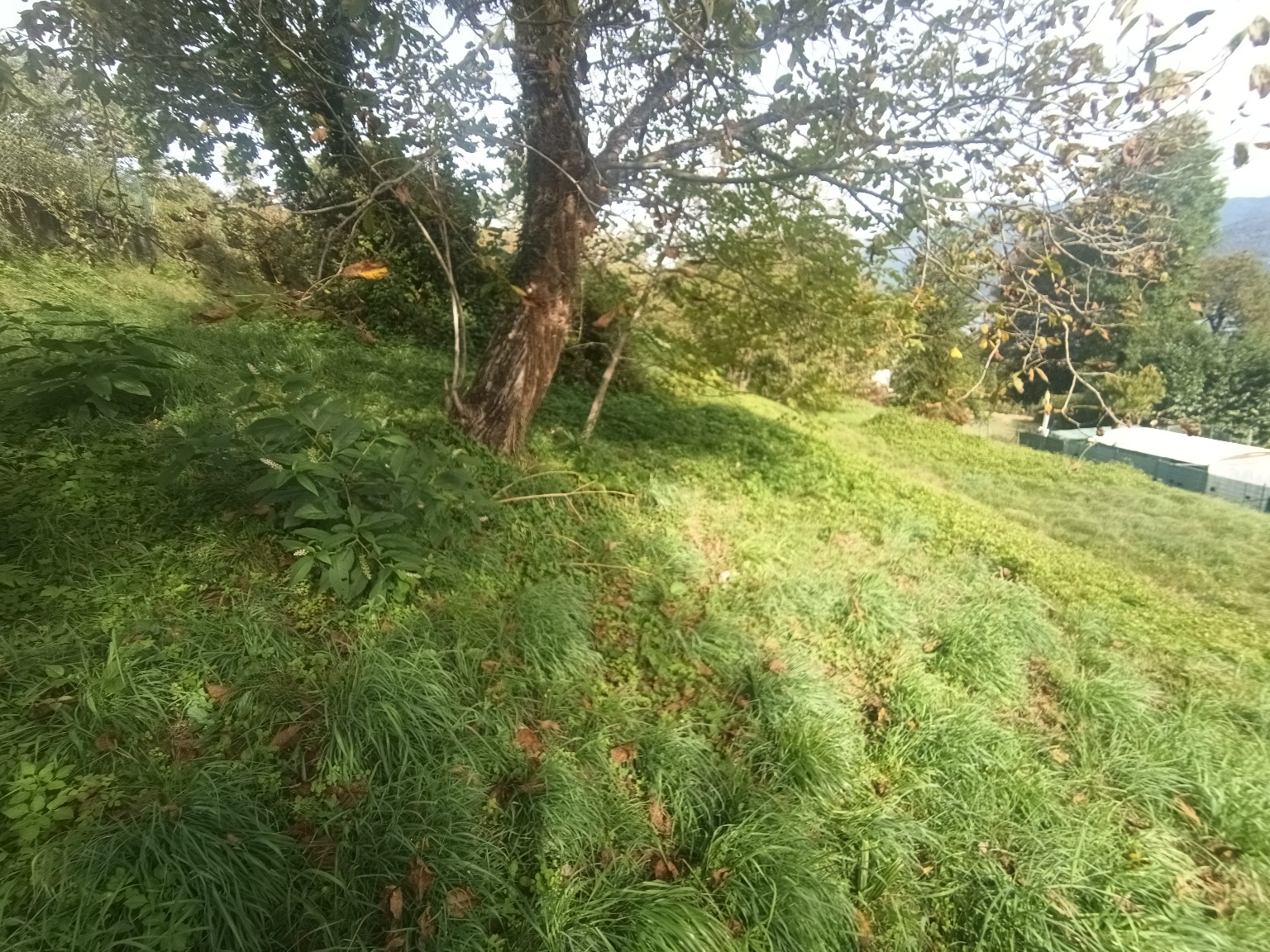 Terreno edificabile · Baveno · Loita — foto 14/16