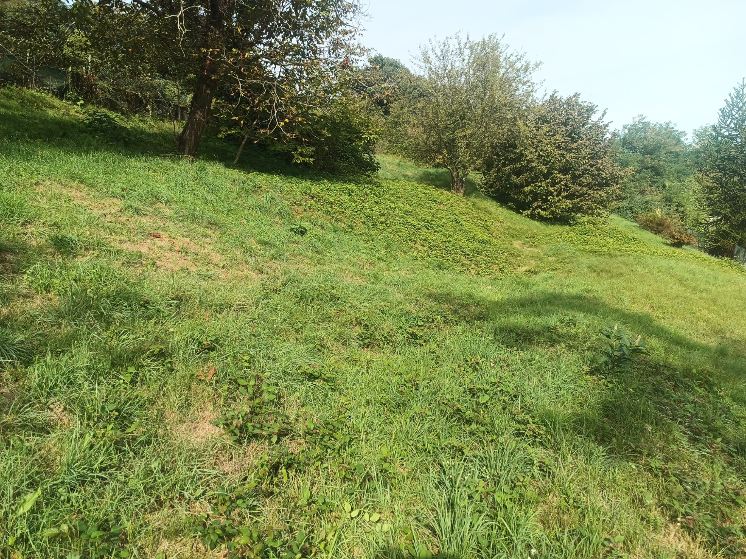Terreno edificabile · Baveno · Loita — foto 9/16