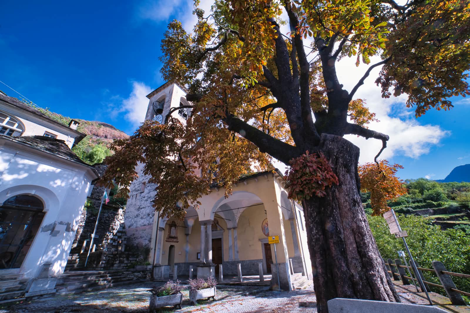 Rustico / Casale · Piedimulera · Pairazzo - Cimamulera — foto 16/19